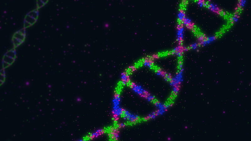 Homeschool Science Experiment: DNA, Organic Compounds, and Engineering Bananas