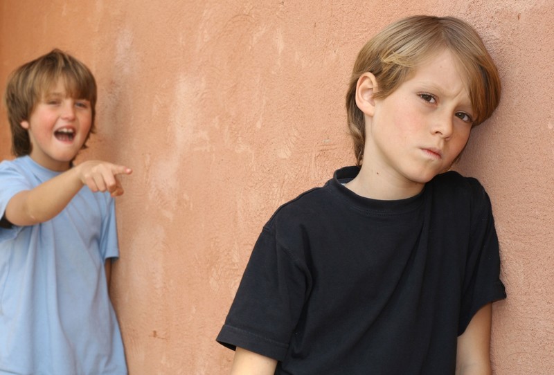 Easing Sibling Tensions in the Homeschool Classroom