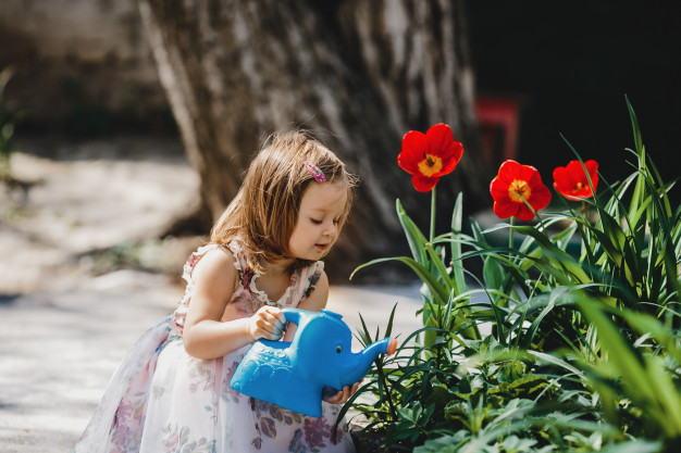 Homeschooling With a Nature Connection