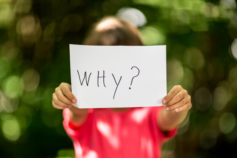 Encouraging Questions From Homeschoolers